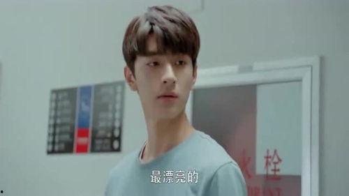 cp战吃瓜,揭秘娱乐圈甜蜜背后的暗流涌动