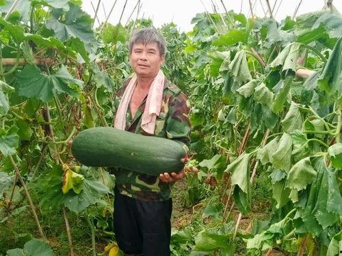 劲爆吃瓜p,揭秘娱乐圈幕后真相，带你领略明星们的真实生活