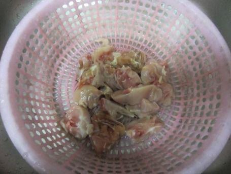 籽瓜兔子可以吃吗