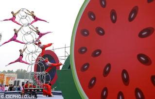 吃瓜比赛夏邑,一场舌尖上的狂欢盛宴