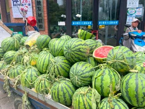 今年吃瓜的价格,吃瓜价格大盘点